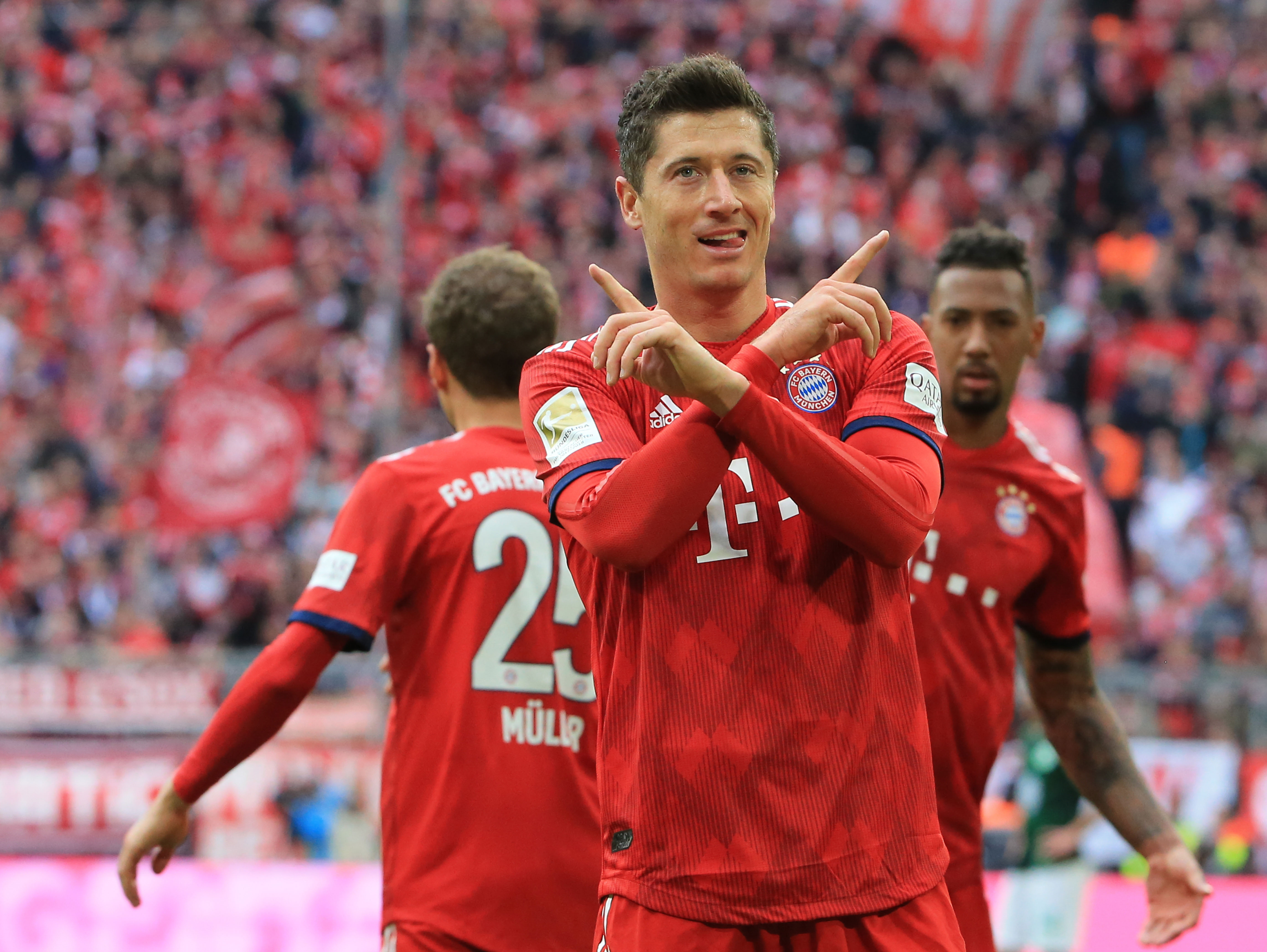 专业性与敏 专业性与敏