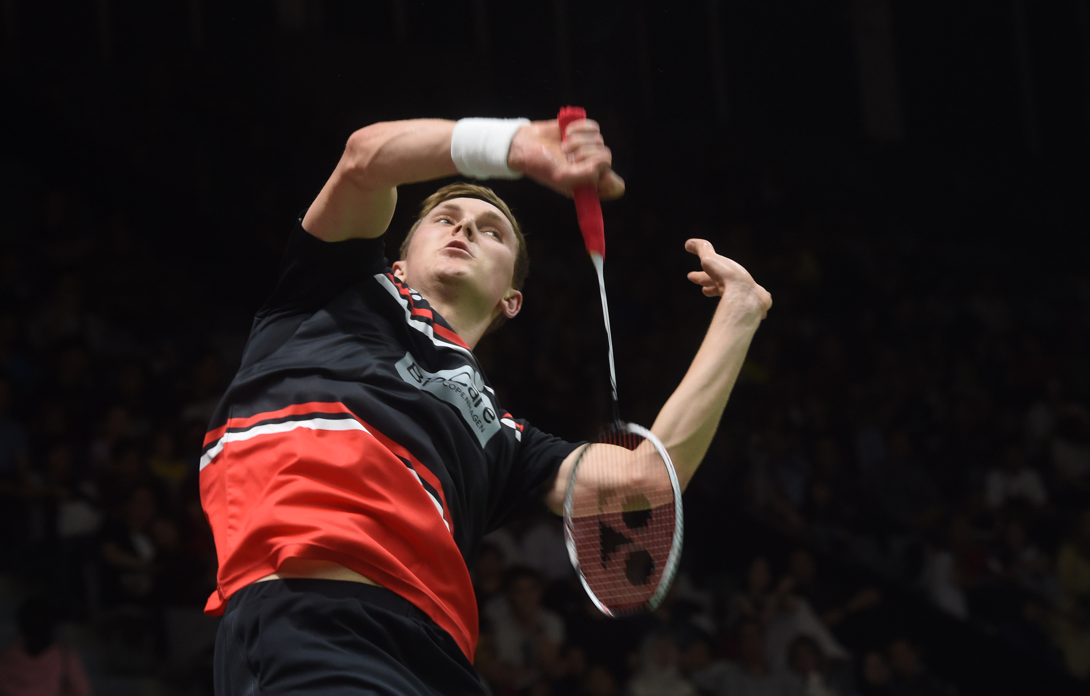 但他们的 但他们的